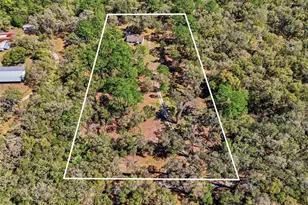 1131 SW 166th St, Newberry, FL 32669 - Photo 6