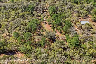 1131 SW 166th St, Newberry, FL 32669 - Photo 10