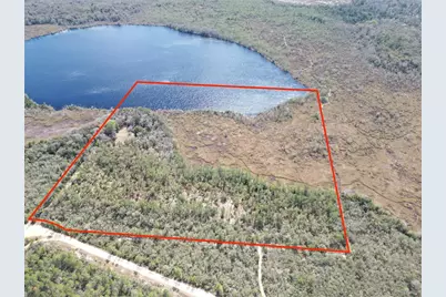 17830 NE 49th Street Road, Silver Springs, FL 34488 - Photo 8