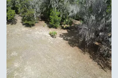 17830 NE 49th Street Road, Silver Springs, FL 34488 - Photo 12