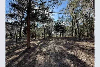 17830 NE 49th Street Road, Silver Springs, FL 34488 - Photo 22