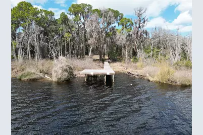 17830 NE 49th Street Road, Silver Springs, FL 34488 - Photo 6