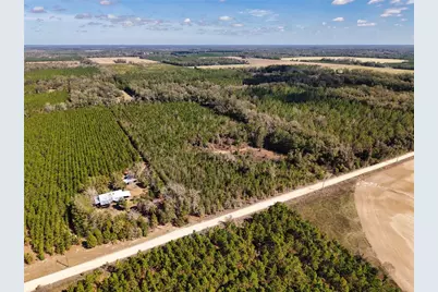 000 SW 80th Street, Trenton, FL 32693 - Photo 4