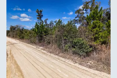 000 SW 80th Street, Trenton, FL 32693 - Photo 10