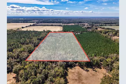 000 SW 80th Street, Trenton, FL 32693 - Photo 8