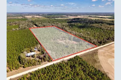 000 SW 80th Street, Trenton, FL 32693 - Photo 2