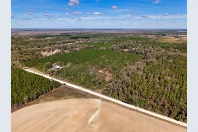 000 SW 80th Street, Trenton, FL 32693 - Photo 6