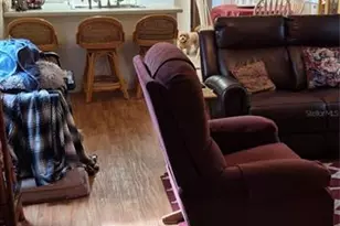 1311 NW 18th Ave, Chiefland, FL 32626 - Photo 28