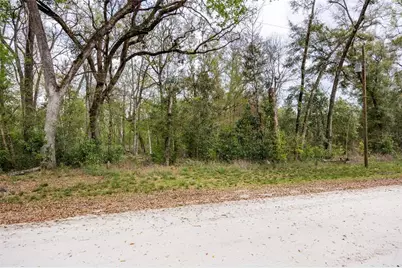Lot 44 SW Boston Terrace, Fort White, FL 32038 - Photo 6