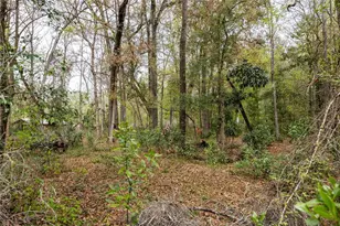 Lot 45 SW Boston Terrace, Fort White, FL 32038 - Photo 1