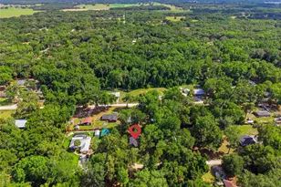 4300 NE 132nd Pl, Anthony, FL 32617 - Photo 40