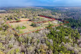 16242 NW 130th St, Williston, FL 32696 - Photo 36