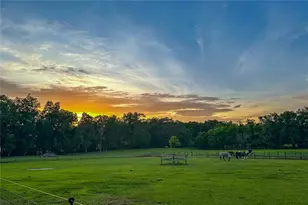 16242 NW 130th St, Williston, FL 32696 - Photo 12