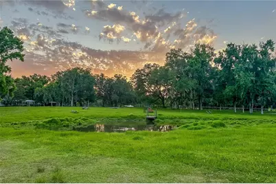 16242 NW 130th Street, Williston, FL 32696 - Photo 42