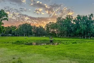 16242 NW 130th St, Williston, FL 32696 - Photo 42