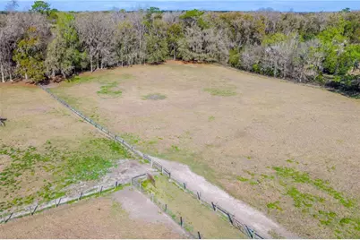 16242 NW 130th Street, Williston, FL 32696 - Photo 12
