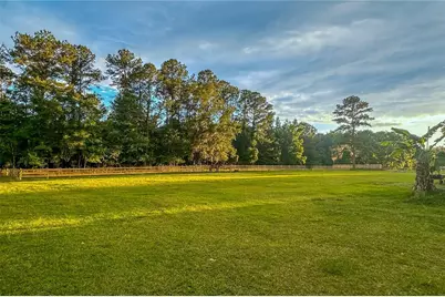 16242 NW 130th Street, Williston, FL 32696 - Photo 14