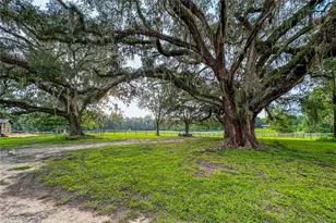 16242 NW 130th St, Williston, FL 32696 - Photo 8