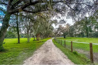 16242 NW 130th Street, Williston, FL 32696 - Photo 2