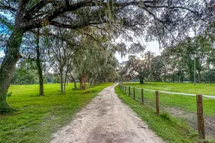 16242 NW 130th St, Williston, FL 32696 - Photo 2