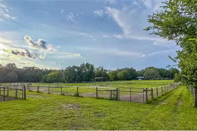 16242 NW 130th Street, Williston, FL 32696 - Photo 8