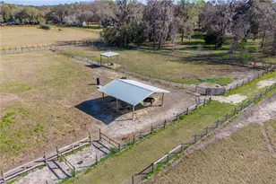 16242 NW 130th St, Williston, FL 32696 - Photo 32