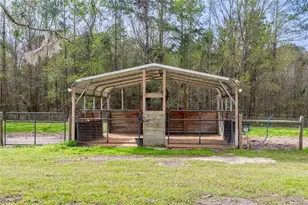 16242 NW 130th St, Williston, FL 32696 - Photo 32