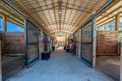 16242 NW 130th Street, Williston, FL 32696 - Photo 22