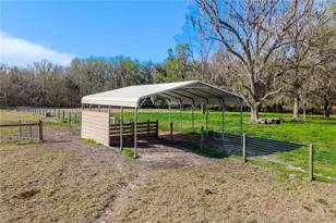 16242 NW 130th St, Williston, FL 32696 - Photo 30