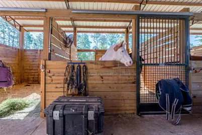 16242 NW 130th Street, Williston, FL 32696 - Photo 18