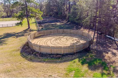 16242 NW 130th Street, Williston, FL 32696 - Photo 6