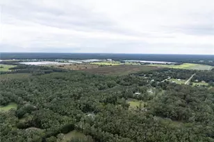 19396 NW 132nd Pl, Alachua, FL 32615 - Photo 44