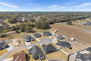 24784 SW 21st Ln, Newberry, FL 32669 - Photo 46