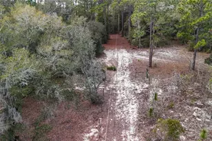 237 Highland Dr, Hawthorne, FL 32640 - Photo 34