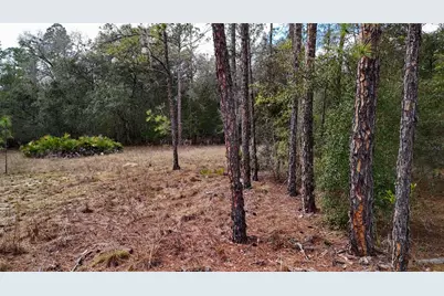 237 Highland Drive, Hawthorne, FL 32640 - Photo 8