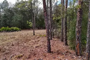 237 Highland Dr, Hawthorne, FL 32640 - Photo 8