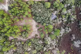 237 Highland Dr, Hawthorne, FL 32640 - Photo 6