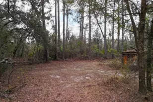 237 Highland Dr, Hawthorne, FL 32640 - Photo 14