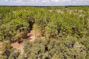 237 Highland Dr, Hawthorne, FL 32640 - Photo 40