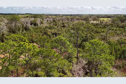 237 Highland Drive, Hawthorne, FL 32640 - Photo 38