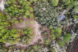 237 Highland Dr, Hawthorne, FL 32640 - Photo 36