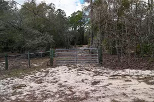 237 Highland Dr, Hawthorne, FL 32640 - Photo 2