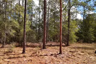 237 Highland Dr, Hawthorne, FL 32640 - Photo 10