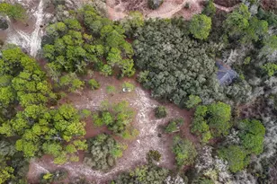 237 Highland Dr, Hawthorne, FL 32640 - Photo 4