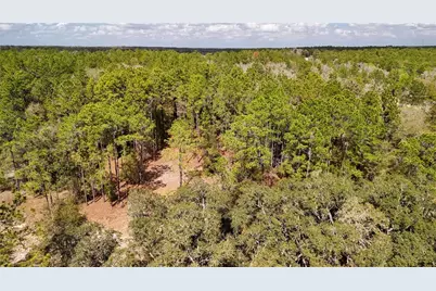237 Highland Drive, Hawthorne, FL 32640 - Photo 36