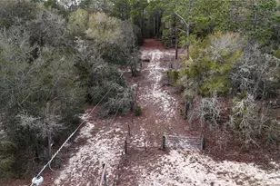 237 Highland Dr, Hawthorne, FL 32640 - Photo 30