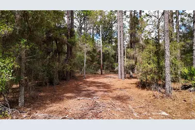 237 Highland Drive, Hawthorne, FL 32640 - Photo 8
