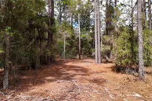237 Highland Dr, Hawthorne, FL 32640 - Photo 8
