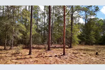 237 Highland Drive, Hawthorne, FL 32640 - Photo 12