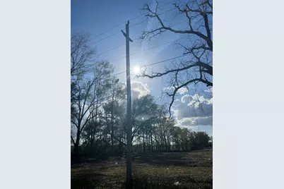 Tbd 185th Rd, Live Oak, FL 32060 - Photo 10
